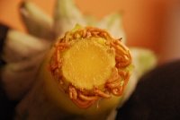 ananas korene.jpg