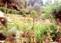 2002_Menton-jardin Mazzola_a.jpg