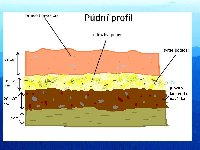 půdní profil.jpg