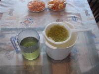 limon-cedrocello 11.3.2008_a.jpg