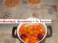 clementine, willowleaf+1x tarocco_b.jpg