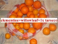 clementine, willowleaf+1x tarocco_a.jpg