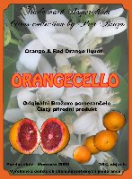 ORANGECELLO.jpg