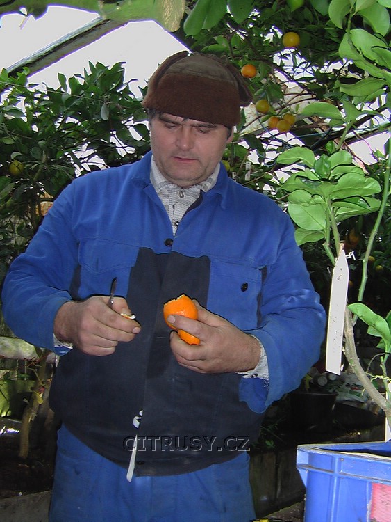 68.jpg