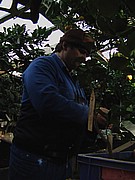 60.jpg