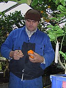 68.jpg