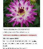 Vystava Moravec 22.-23.8.09.jpg